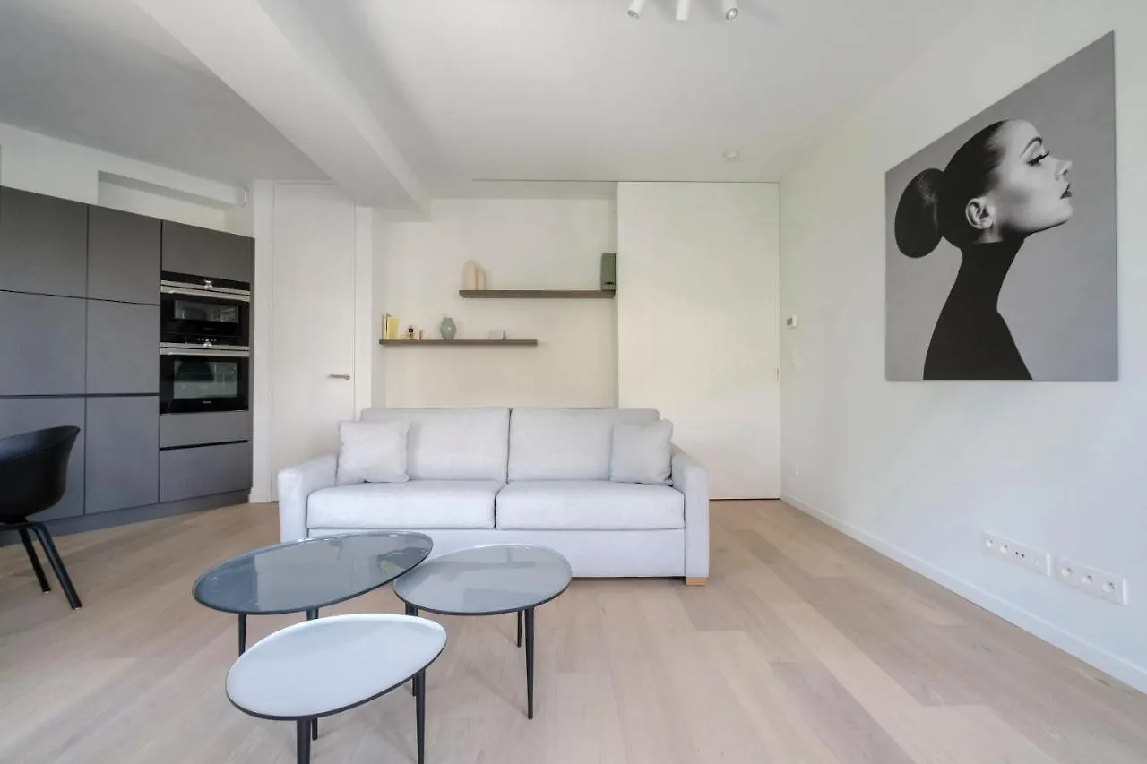 Nice 1 Bedroom With Balcony Avenue Louise Brussels Apartment